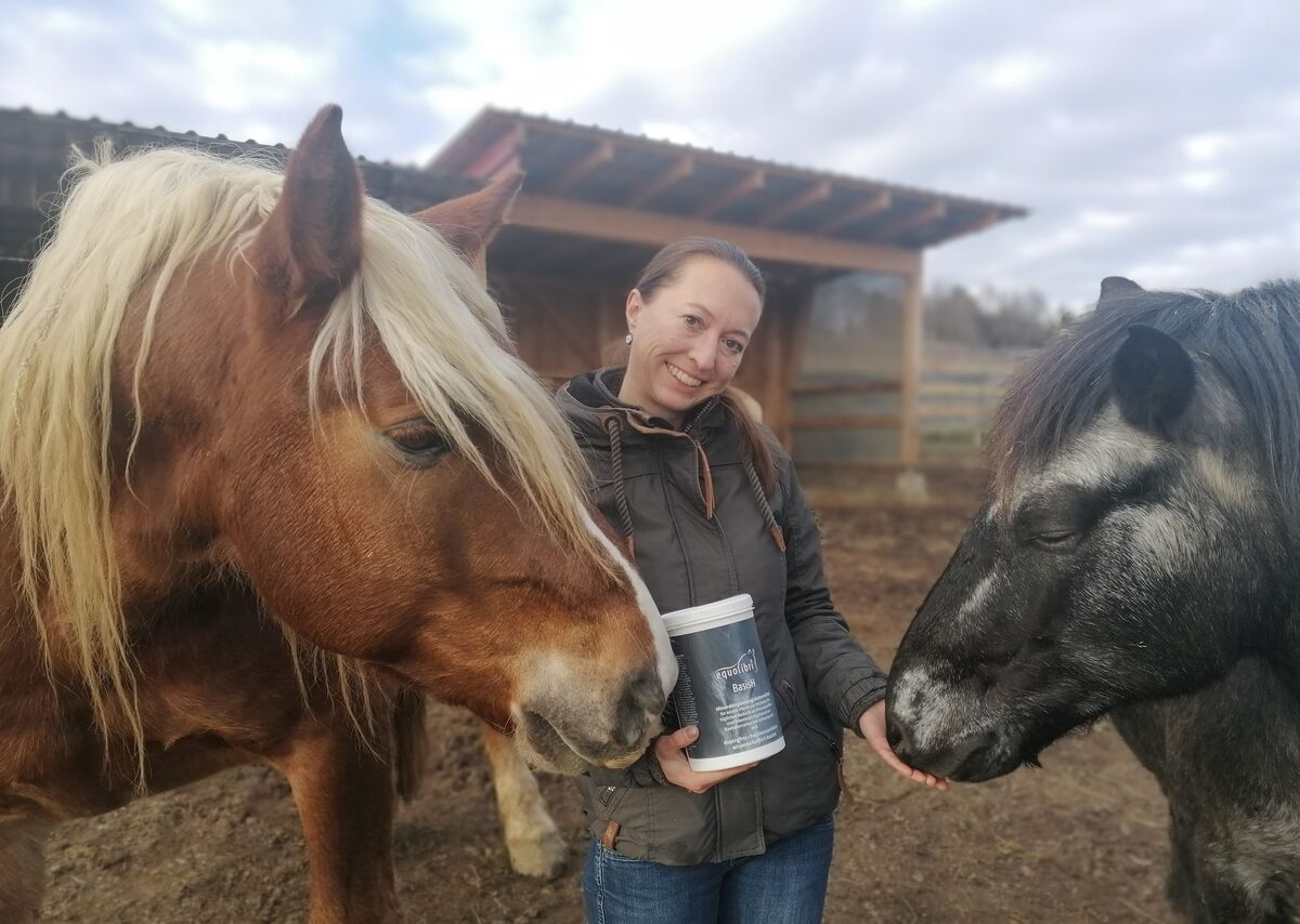 Equolibri